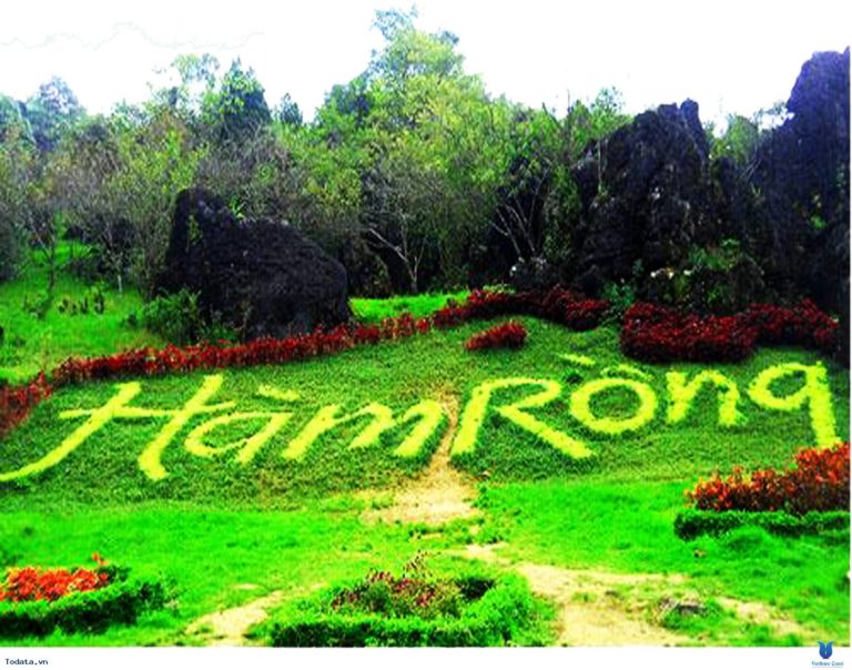 at_chinh-phuc-nui-ham-rong-dia-danh-hap-dan-bac-nhat-sapa_ef9c6b57cf0cbf37f96952451c7a5f23